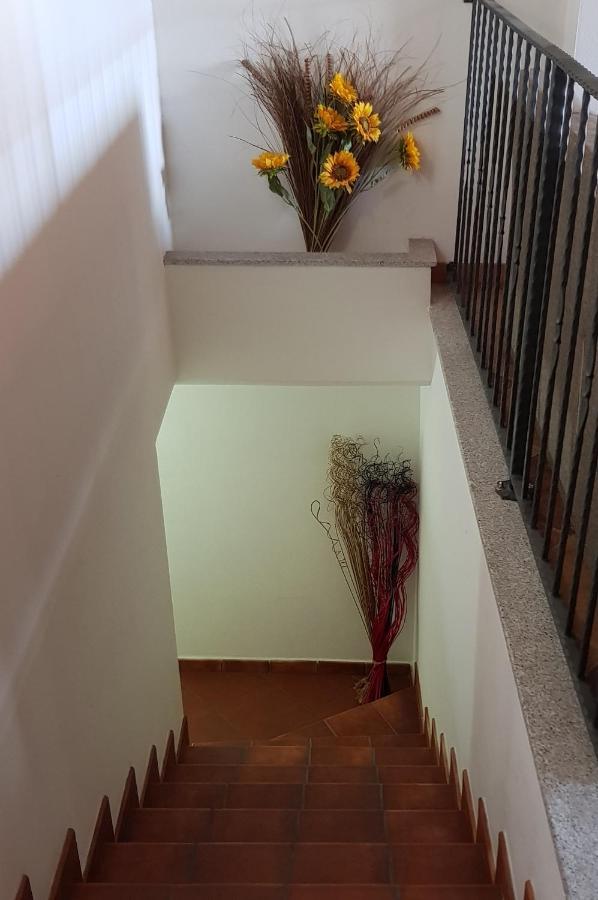 مبيت وإفطار SantʼAntìoco Bed & Breakfast S' Accorru المظهر الخارجي الصورة